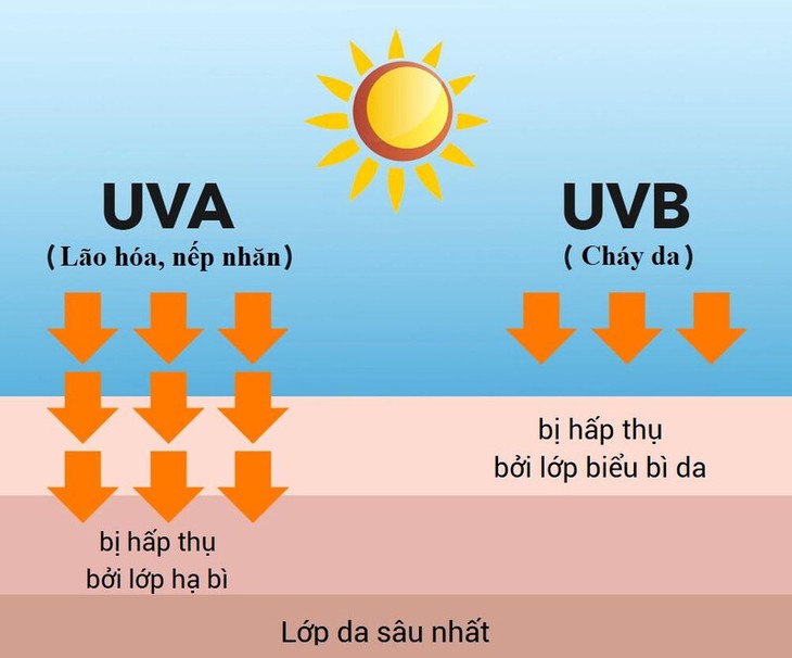 Sạm da do lão hóa, bác sĩ khuyên nên chăm sóc thể nào? - Ảnh 1. Sạm da do lão hóa, bác sĩ khuyên nên chăm sóc thể nào? - Ảnh 1.