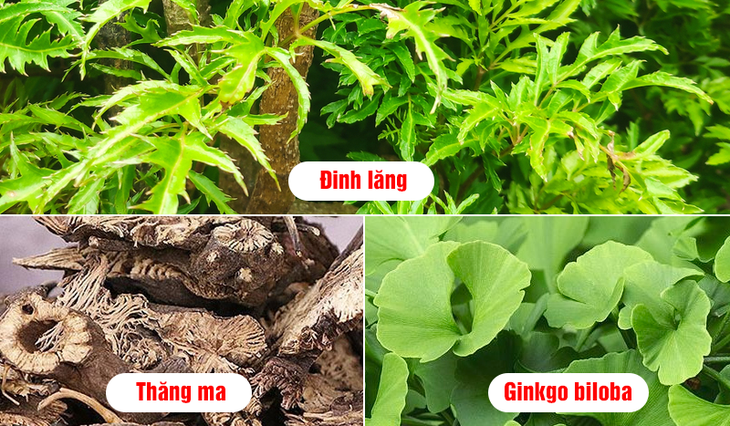 Hỗ trợ cải thiện chậm nói cho trẻ nhờ thảo dược - Ảnh 1. Hỗ trợ cải thiện chậm nói cho trẻ nhờ thảo dược - Ảnh 1.