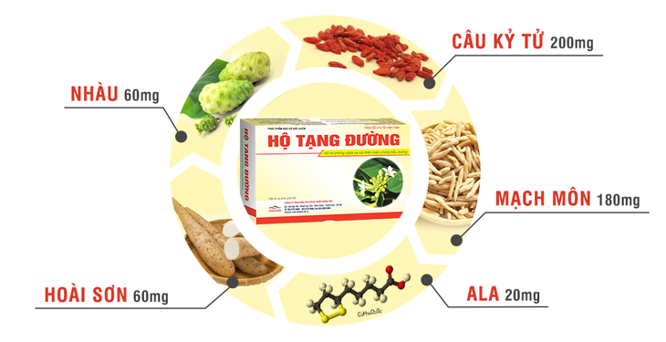 Biến chứng đái tháo đường - Giải pháp hỗ trợ phòng ngừa từ thảo dược - Ảnh 1.
