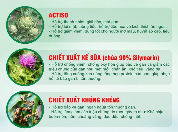 3 nhóm đối tượng nên giải độc gan mùa hè - Ảnh 2.