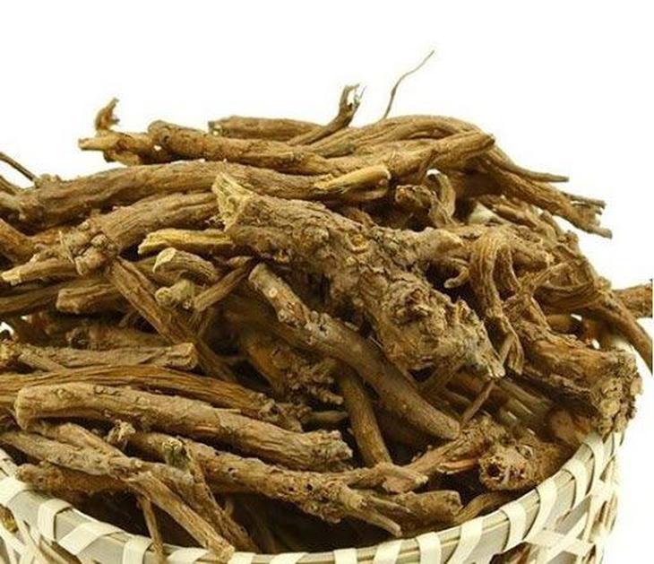 Hoàng cầm – vị thuốc chữa sốt, cảm mạo - Ảnh 1. Hoàng cầm – vị thuốc chữa sốt, cảm mạo - Ảnh 1.