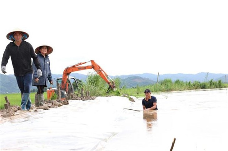 Mưa lũ gây thiệt hại nhà cửa và cây trồng, vật nuôi ở nhiều địa phương - Ảnh 3. Mưa lũ gây thiệt hại nhà cửa và cây trồng, vật nuôi ở nhiều địa phương - Ảnh 3.