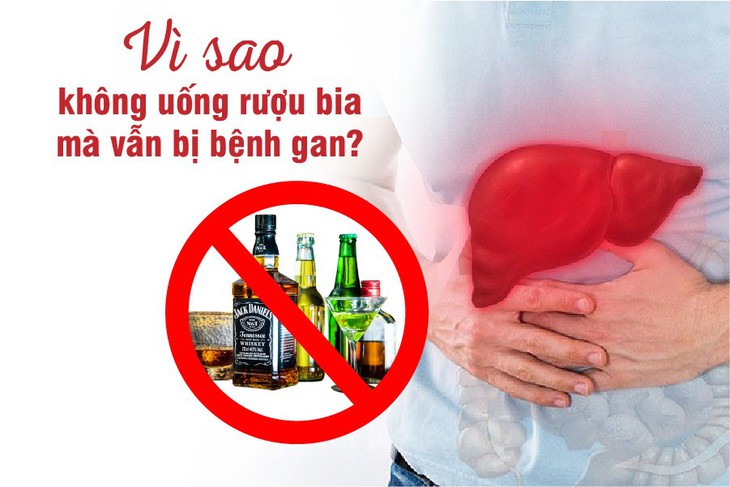 Vì sao không uống rượu bia, nhiều người vẫn bị bệnh gan? - Ảnh 1.