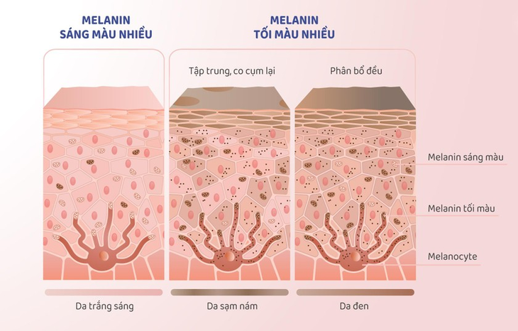 Bí quyết để có làn da sáng khỏe từ bên trong - Ảnh 1.
