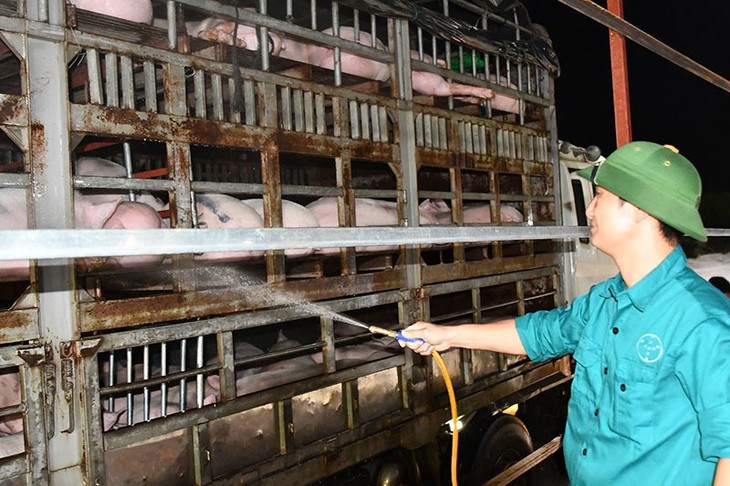 Hà Nội quyết tâm kiểm soát dịch bệnh từ động vật, gia cầm, lây sang người theo tiếp cận 'Một sức khỏe'- Ảnh 1.
