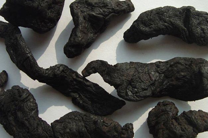 4 bài thuốc điển hình điều trị mất ngủ - Ảnh 1.