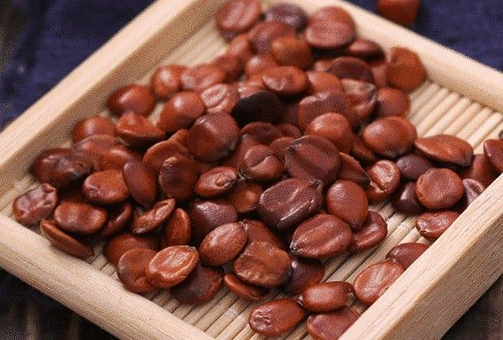 4 bài thuốc điển hình điều trị mất ngủ - Ảnh 3.