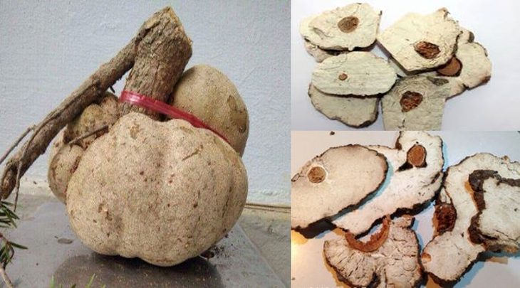 4 bài thuốc điển hình điều trị mất ngủ - Ảnh 4.