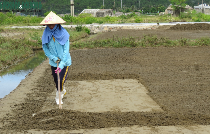 Nhọc nhằn nghề muối ở các làng ven biển - Ảnh 4. Nhọc nhằn nghề muối ở các làng ven biển - Ảnh 4.