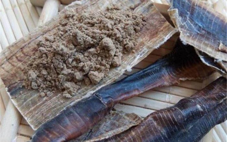 Khai thác tận diệt giun đất, liệu có còn vị thuốc địa long?