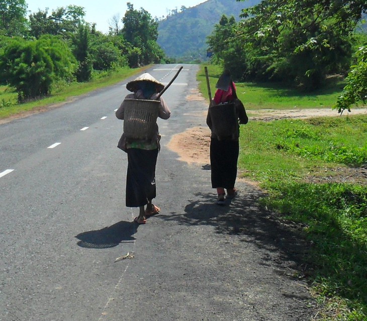 Người bị sốt rét tăng đột biến ở Khánh Hòa, ứng phó ra sao? - Ảnh 4.