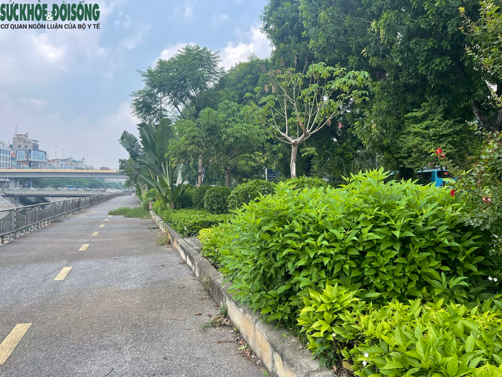 Bất ngờ diện mạo mới của tuyến đường đi bộ ven sông Tô Lịch - Ảnh 6.