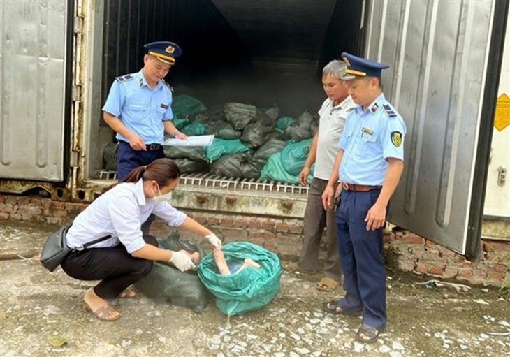 Lạng Sơn: Thu giữ 1,5 tấn móng giò lợn chảy nước, bốc mùi hôi thối - Ảnh 1. Lạng Sơn: Thu giữ 1,5 tấn móng giò lợn chảy nước, bốc mùi hôi thối - Ảnh 1.