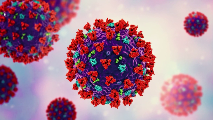 COVID-19: WHO theo dõi biến thể mới BA.2.86 do chứa số lượng đột biến gene virus lớn - Ảnh 2.