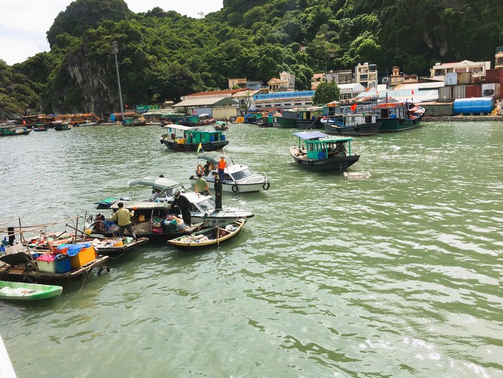 Quảng Ninh: Ccác phương tiện thủy dừng neo đậu ven bờ Vịnh Hạ Long - Ảnh 1.