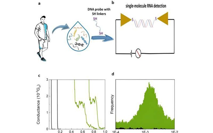 Chỉ dấu sinh học ở cấp độ phân tử RNA giúp phát hiện sớm nhiều loại ung thư