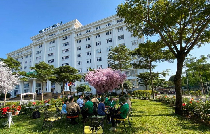 Thí sinh xét tuyển vào ngành sư phạm nhận được thông báo tạm dừng tuyển sinh: Nhà trường nói gì? - Ảnh 1.