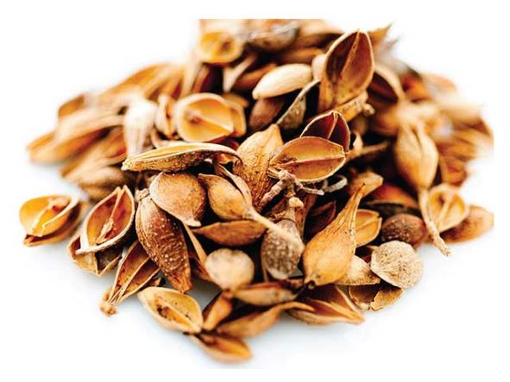 Bài thuốc tâm đắc trị bệnh ngoài da phong ngứa thể nhiệt - Ảnh 2. Bài thuốc tâm đắc trị bệnh ngoài da phong ngứa thể nhiệt - Ảnh 2.
