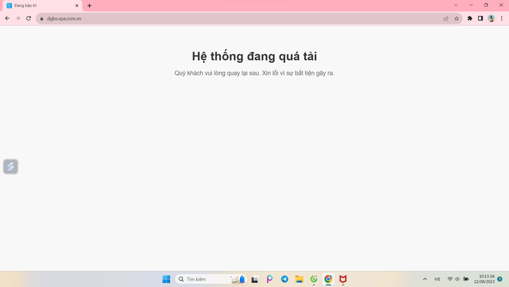 Lý giải sự cố khiến phiên đấu giá biển số ô tô bị hủy - Ảnh 2. Lý giải sự cố khiến phiên đấu giá biển số ô tô bị hủy - Ảnh 2.
