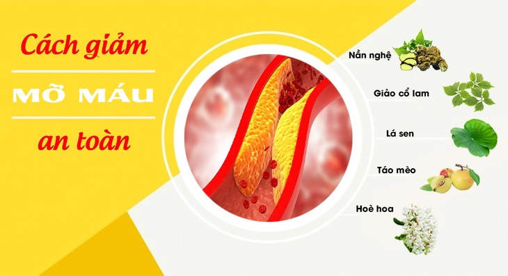 Hậu quả nguy hiểm của mỡ máu cao: Cẩn trọng trước khi quá muộn! - Ảnh 2.
