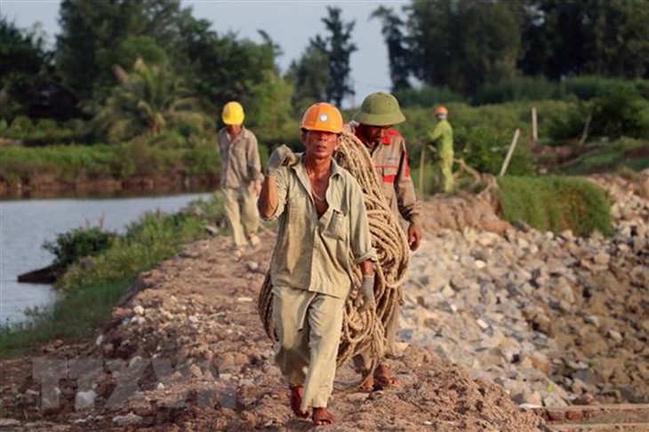 Tàu hàng làm đứt đường dây 35kV, đảo Cát Bà mất điện hai ngày - Ảnh 2. Tàu hàng làm đứt đường dây 35kV, đảo Cát Bà mất điện hai ngày - Ảnh 2.