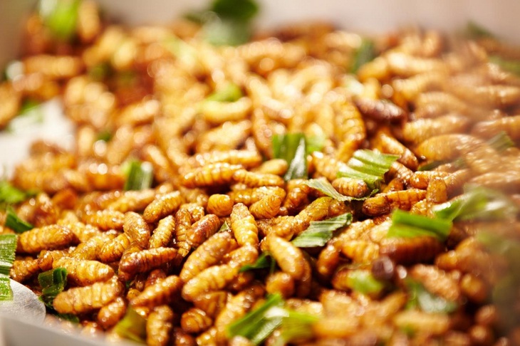 Nhộng ong là món cao lương mỹ vị, thời xa xưa chỉ có vua chúa mới được thưởng thức. Ảnh minh họa