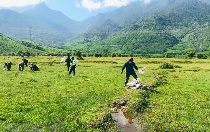 Ngăn ngừa tình trạng mua, bán các loại chim hoang dã để phóng sinh - Ảnh 1.