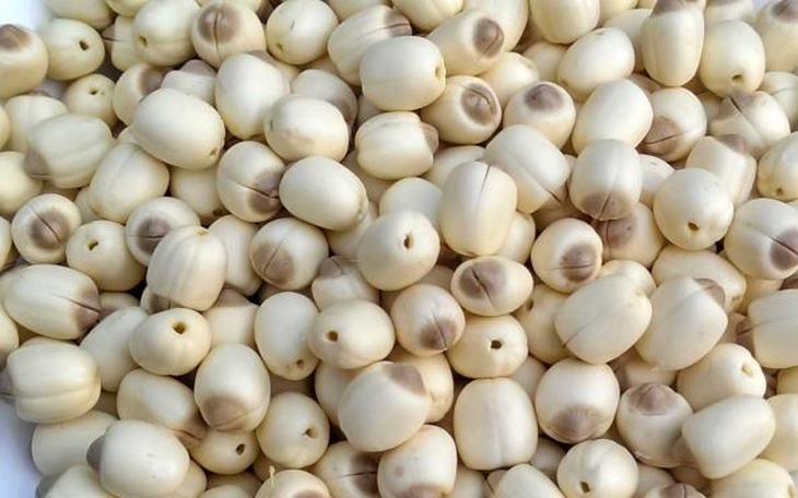 Bài thuốc an thần dưỡng huyết chữa chứng hay quên