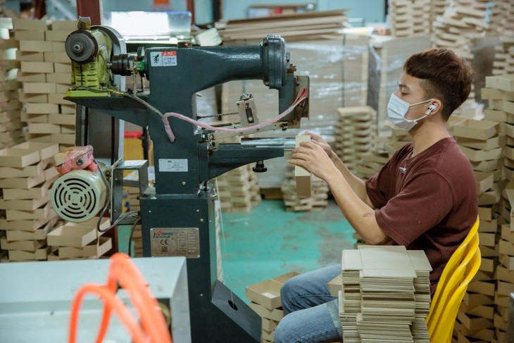 Dấu ấn riêng của thương hiệu in hộp dược chất lượng cao - Ảnh 3.