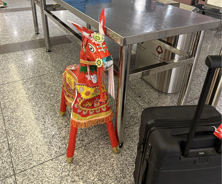 Từ chuyện "con ngựa vàng mã", những loại hàng hoá nào không được đưa lên máy bay? - Ảnh 3. Từ chuyện "con ngựa vàng mã", những loại hàng hoá nào không được đưa lên máy bay? - Ảnh 3.