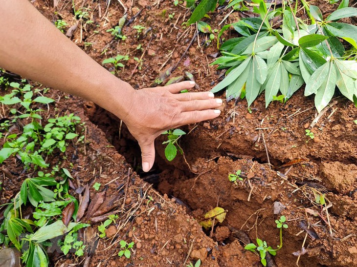 Đắk Nông: Sạt trượt, nứt gãy bất thường tại hồ chứa nước Đắk N’ting - Ảnh 6.