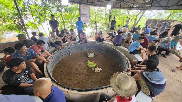 Triệt phá tụ điểm đá gà quy mô lớn, cấm quay phim chụp ảnh - Ảnh 1.
