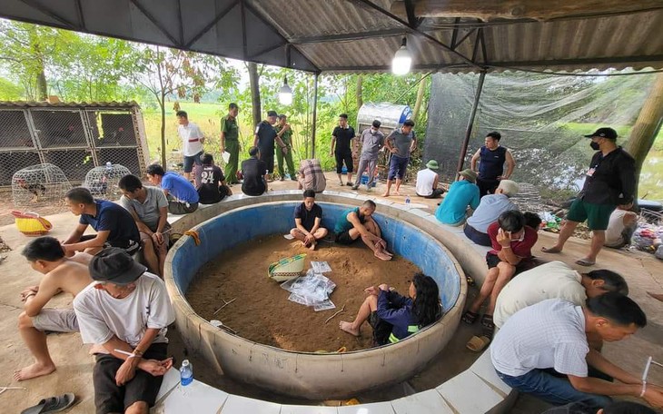 Triệt phá tụ điểm đá gà quy mô lớn, cấm quay phim chụp ảnh