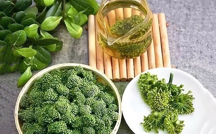 Cần kiêng kỵ gì khi dùng bột tam thất, nụ hoa tam thất - Ảnh 3.
