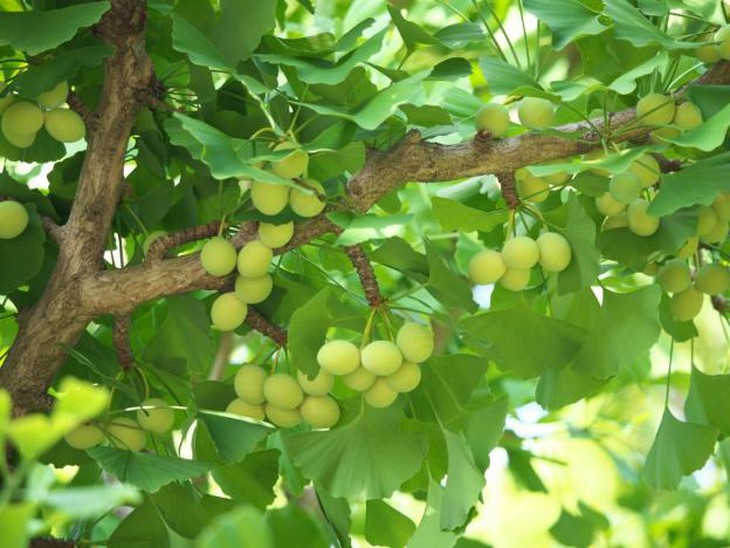 photo-1691509416654
