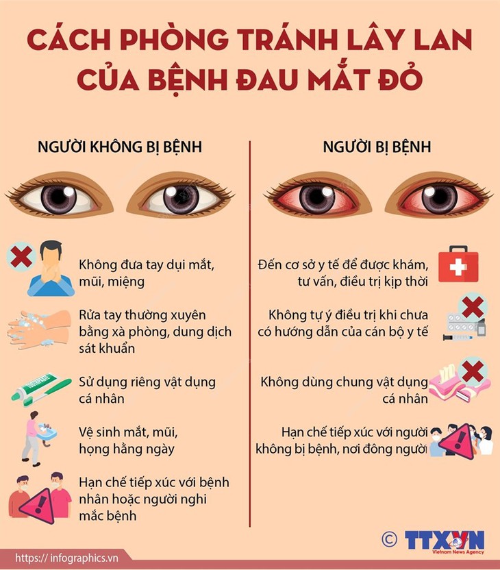 Nghệ An: Gia tăng bệnh nhi đau mắt đỏ, bác sĩ khuyến cáo cách phòng tránh - Ảnh 3. Nghệ An: Gia tăng bệnh nhi đau mắt đỏ, bác sĩ khuyến cáo cách phòng tránh - Ảnh 3.