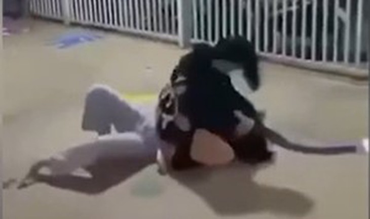 Thiếu nữ 15 tuổi tại TPHCM bị đánh hội đồng, lột đồ và tung video lên mạng xã hội - Ảnh 1.
