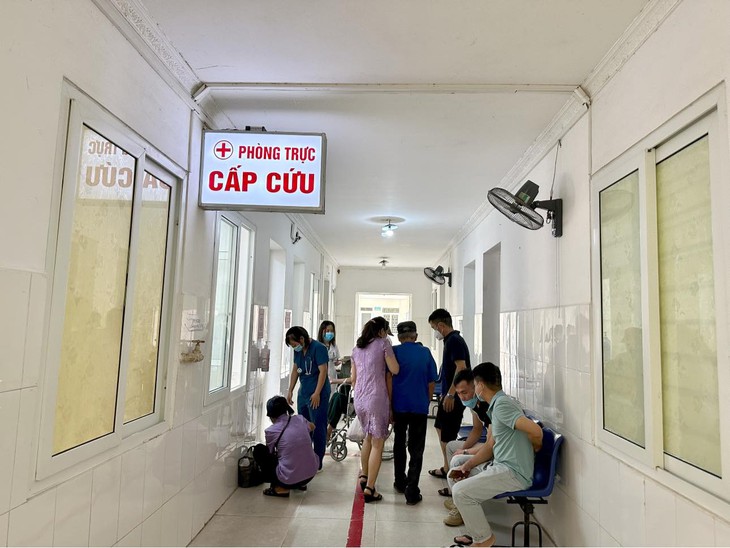 Khi bị ong đốt, nếu có dấu hiệu nghiêm trọng cần nhanh chóng đưa đến cơ sở y tế gần nhất. ong đốt