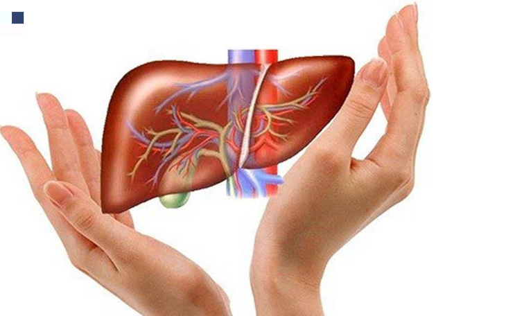 Cách thải độc gan từ thực phẩm sẵn có trong nhà bếp