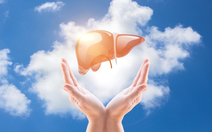 Muốn bổ gan, nên bổ sung những loại vitamin nào?