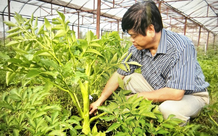 Người giữ gìn, phát triển cây dược liệu, bài thuốc quý ở Thanh Hóa
