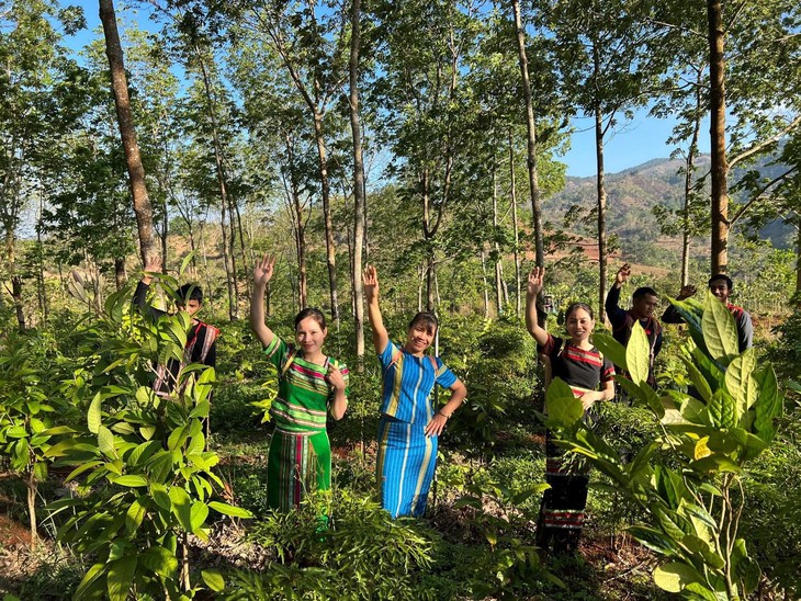 Trà hoa vàng Gia Lai giúp hỗ trợ sống khỏe và hạnh phúc - Ảnh 1.