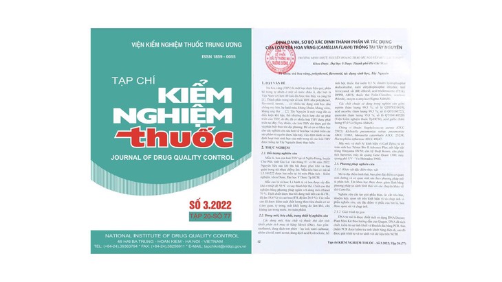 Trà hoa vàng Gia Lai giúp hỗ trợ sống khỏe và hạnh phúc - Ảnh 2.