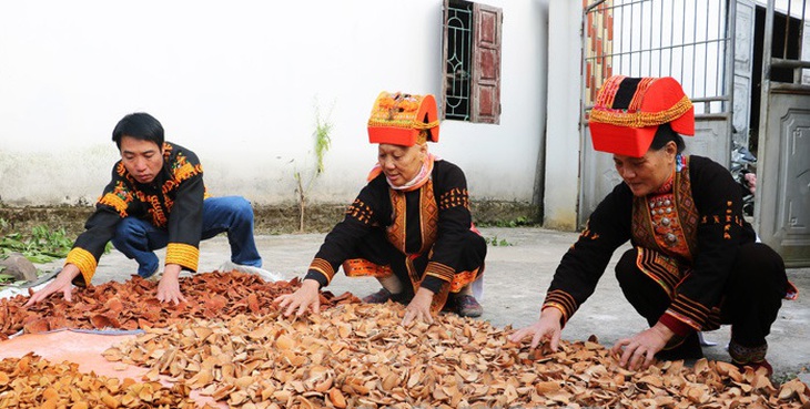 Bảo tồn, gìn giữ “kho báu” dược liệu ở Núi Mẫu Sơn - Ảnh 1.