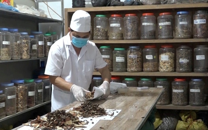 Phát huy tinh hoa Y học cổ truyền 'Thầy tại nhà, thuốc tại vườn”