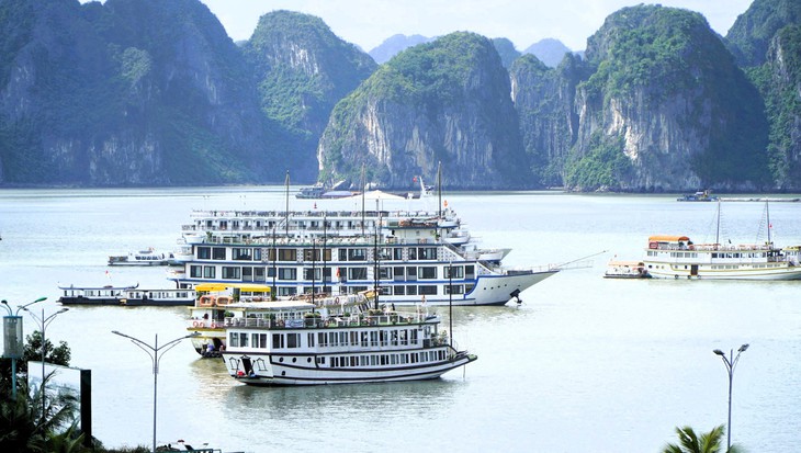 Quảng Ninh: Làm rõ việc tàu du lịch vịnh Hạ Long liên tục bị kiểm tra - Ảnh 1. Quảng Ninh: Làm rõ việc tàu du lịch vịnh Hạ Long liên tục bị kiểm tra - Ảnh 1.