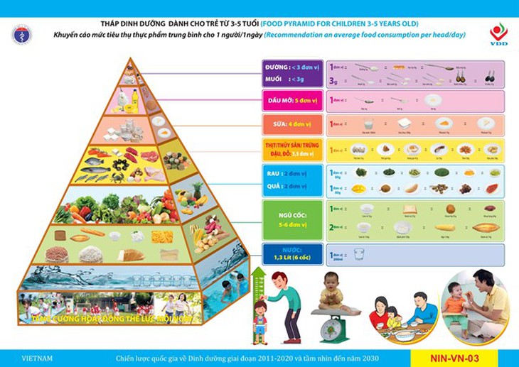 Tháp dinh dưỡng đảm bảo đủ dưỡng chất cần thiết - Ảnh 1. Tháp dinh dưỡng đảm bảo đủ dưỡng chất cần thiết - Ảnh 1.