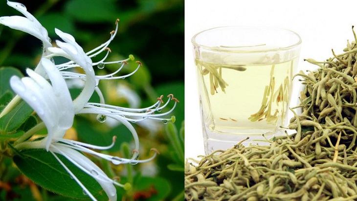 4 bài thuốc giảm triệu chứng khó chịu do đau mắt đỏ - Ảnh 3.