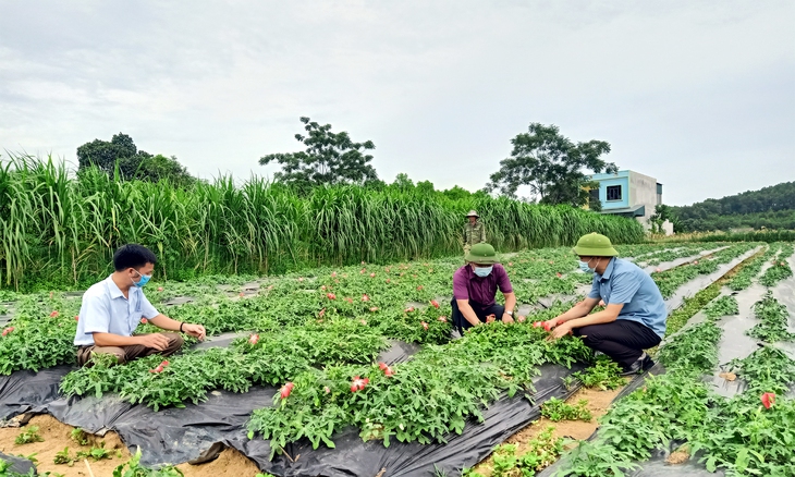Bước ngoặt của y học cổ truyền Việt Nam - Ảnh 2. Bước ngoặt của y học cổ truyền Việt Nam - Ảnh 2.
