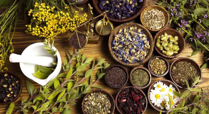 Y dược cổ truyền là kho tri thức khổng lồ về chăm sóc sức khỏe - Ảnh 2. Y dược cổ truyền là kho tri thức khổng lồ về chăm sóc sức khỏe - Ảnh 2.